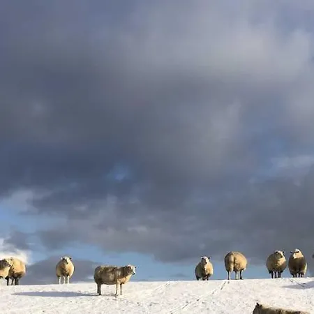 Tief 10 408 Apartmán