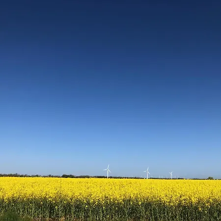 Apartmán Tief 10 408 Schillig