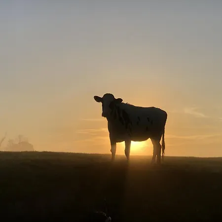 Tief 10 408 Apartmán Schillig