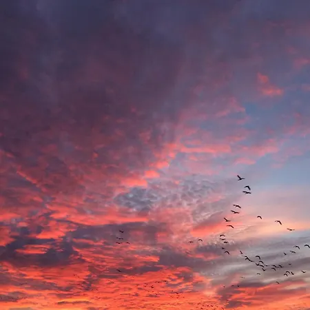 Tief 10 408 Schillig