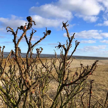 Apartmán Tief 10 408 *