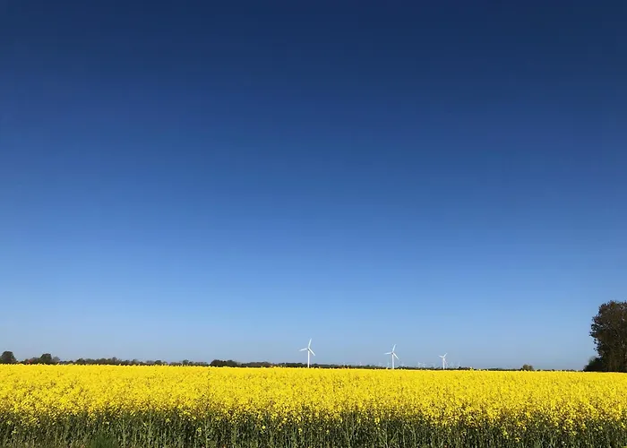 Daire Tief 10 408 Schillig