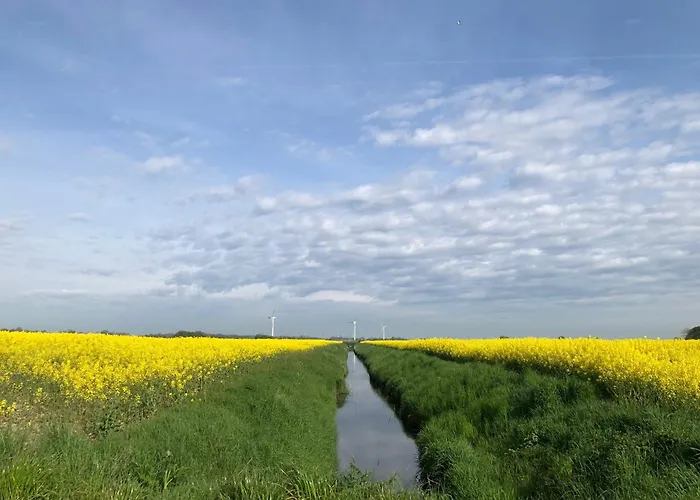 Tief 10 408 * Schillig