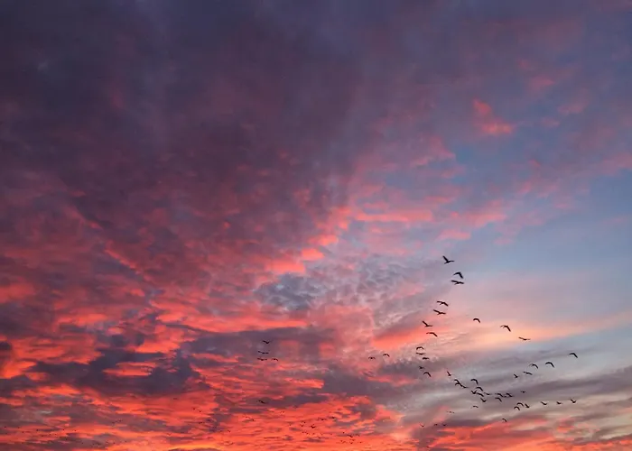 Tief 10 408 Schillig